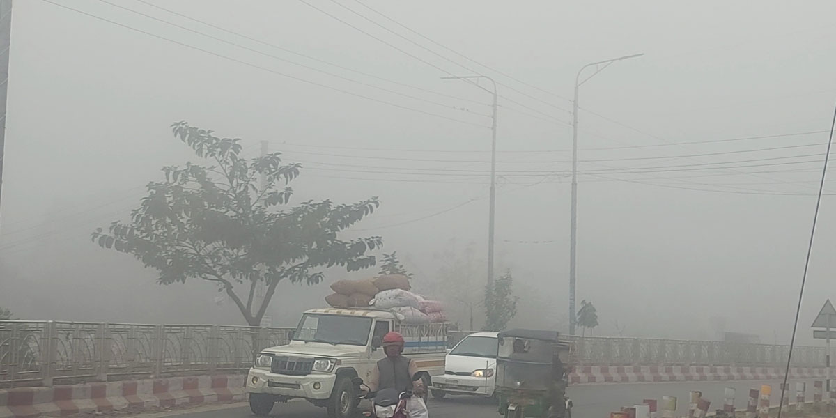 হঠাৎ ঠাকুরগাঁওয়ে ঘন কুয়াশা