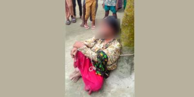 পলাশবাড়ীতে নারীকে গাছে বেঁধে নির্যাতন