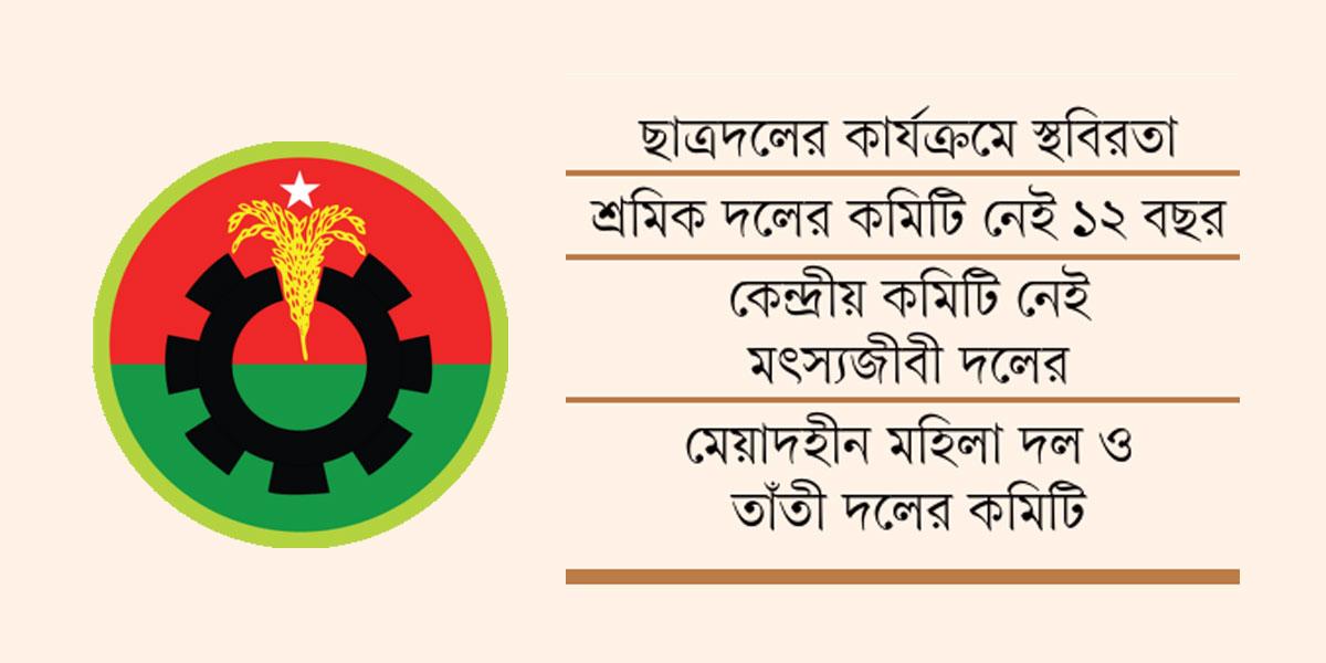 নির্বাচনি ডামাডোলেও বিএনপির ১০ সংগঠনের কার্যক্রমে স্থবিরতা