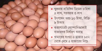 খুলনায় ডিমের বাজার অস্থির, লোকসানে খামারি