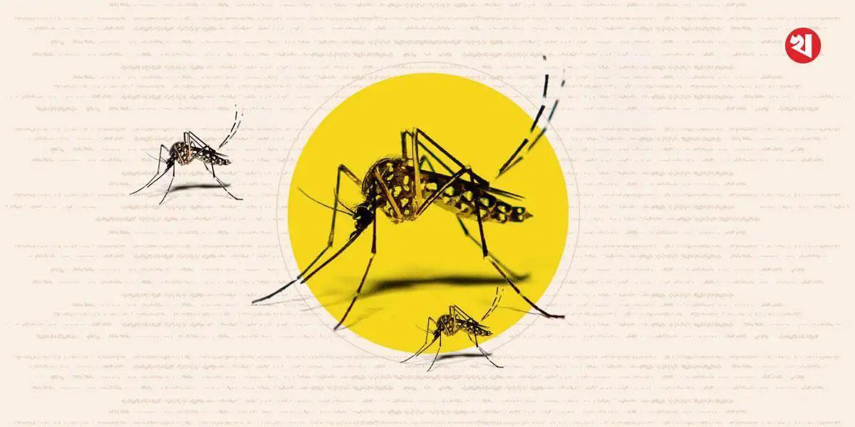 ডেঙ্গুতে আক্রান্ত হয়ে ১৭ জন হাসপাতালে ভর্তি