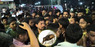 জাবিতে হালিমে মাছি নিয়ে উত্তেজনা, দোকান বন্ধ করে প্রতিবাদ