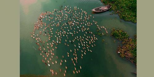 ক্যামেরা নষ্ট ছিল স্বপ্ন নয়