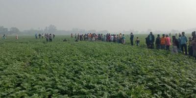 জয়পুরহাটে আলুখেত থেকে বৃদ্ধের মরদেহ উদ্ধার