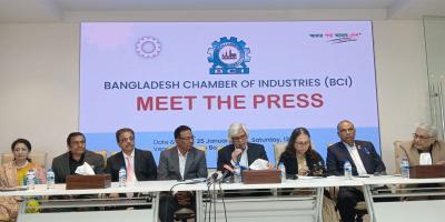 স্বস্থি ফেরাতে দ্রুত নির্বাচন দরকার: বিসিআই সভাপতি