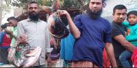 পোড়াদহ মেলার বড় আকর্ষণ মাছ আর মিষ্টি