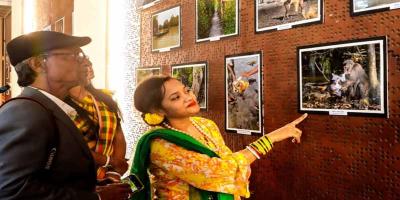 সুন্দরবন সুরক্ষায় মনুষ্যসৃষ্ট ঝুঁকি কমানোর তাগিদ