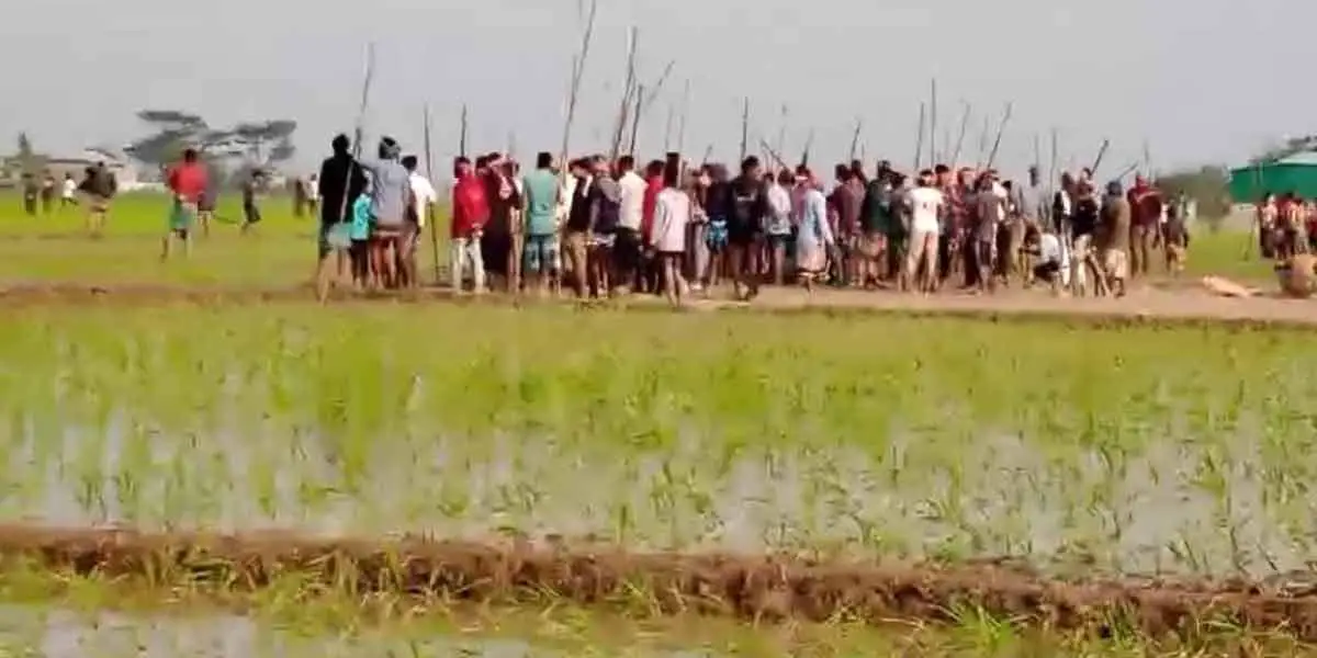 শান্তিগঞ্জে গরু ধান খাওয়ায় সংঘর্ষ, আহত ৪০