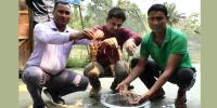 কুড়িগ্রামে সমন্বিত মাছ চাষে সম্ভাবনা দেখছেন চাষিরা