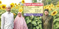 সূর্যমুখী চাষে ভাইবোনের সাফল্য