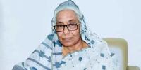 বিএনপির ভাইস চেয়ারম্যান হলেন অধ্যাপক নার্গিস বেগম