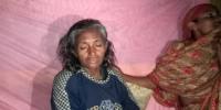গহিন সুন্দরবনের গাছের ডাল থেকে বৃদ্ধাকে উদ্ধার করল জেলেরা