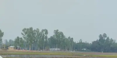 যেমন থাকবে আজকের আবহাওয়া