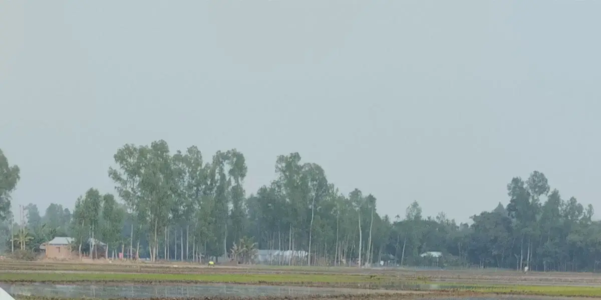 যেমন থাকবে আজকের আবহাওয়া