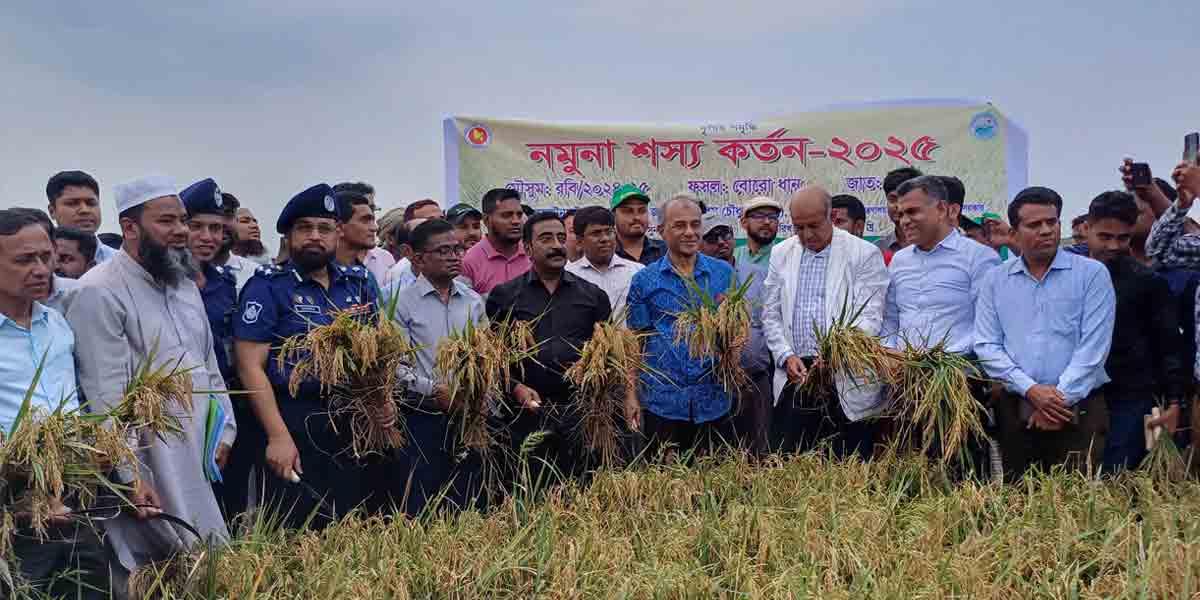 দেশে খাদ্য সংকটের কোনো সম্ভাবনা নেই: স্বরাষ্ট্র উপদেষ্টা