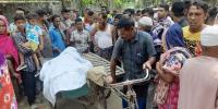 জামালপুরে গাছ কাটা নিয়ে ছেলের হাতে মা খুন