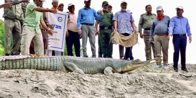 রাজশাহীতে ঘড়িয়াল প্রজননকেন্দ্র চালু