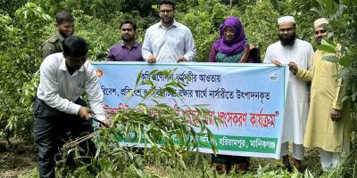 হরিরামপুরে ১৬০০ নিষিদ্ধ গাছের চারা ধ্বংস
