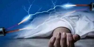 শ্যামনগরে শিয়াল মারতে বিদ্যুতের ফাঁদ, প্রাণ গেল গৃহবধূর