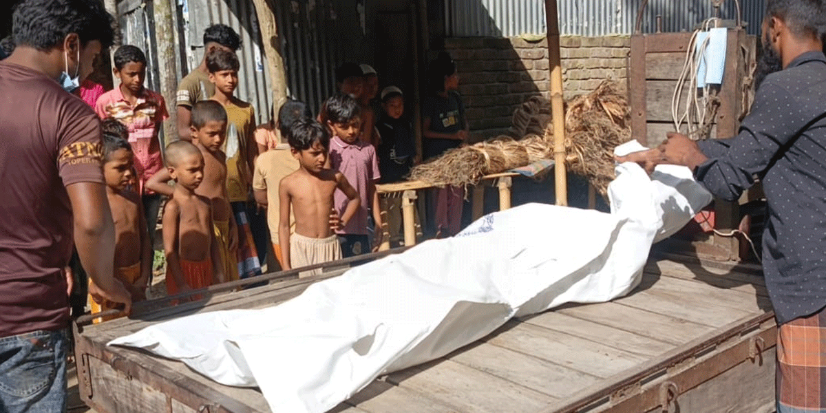 সালথায় স্ত্রীকে পিটিয়ে হত্যা, স্বামী আটক