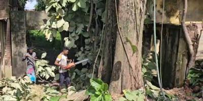 ব্রাহ্মণবাড়িয়ায় গণপূর্তের সেগুন গাছ নিলামে বিক্রি করল পুলিশ!