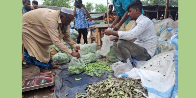 বগুড়া-রাজশাহীতে আগাম সবজিতে ভালো ফলন, দামও বেশি