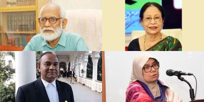 গণভোটে সরকারের ভূমিকা