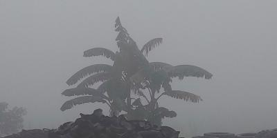 দিনের তাপমাত্রা বাড়বে, থাকবে কুয়াশা