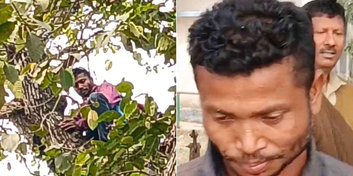 ৪০ ফুট উঁচু গাছের ডালে যুবক, নামলেন বোতল দেখে!
