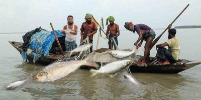 পদ্মা-মেঘনায় দুই মাস ইলিশসহ সব ধরনের মাছ ধরায় নিষেধাজ্ঞা