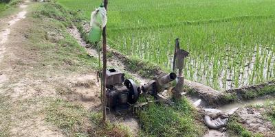শেরপুরে ডিজেলসংকটে দুশ্চিন্তায় কৃষক