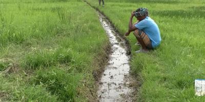 জ্বালানি তেলের সংকটে সেচ বন্ধের শঙ্কা