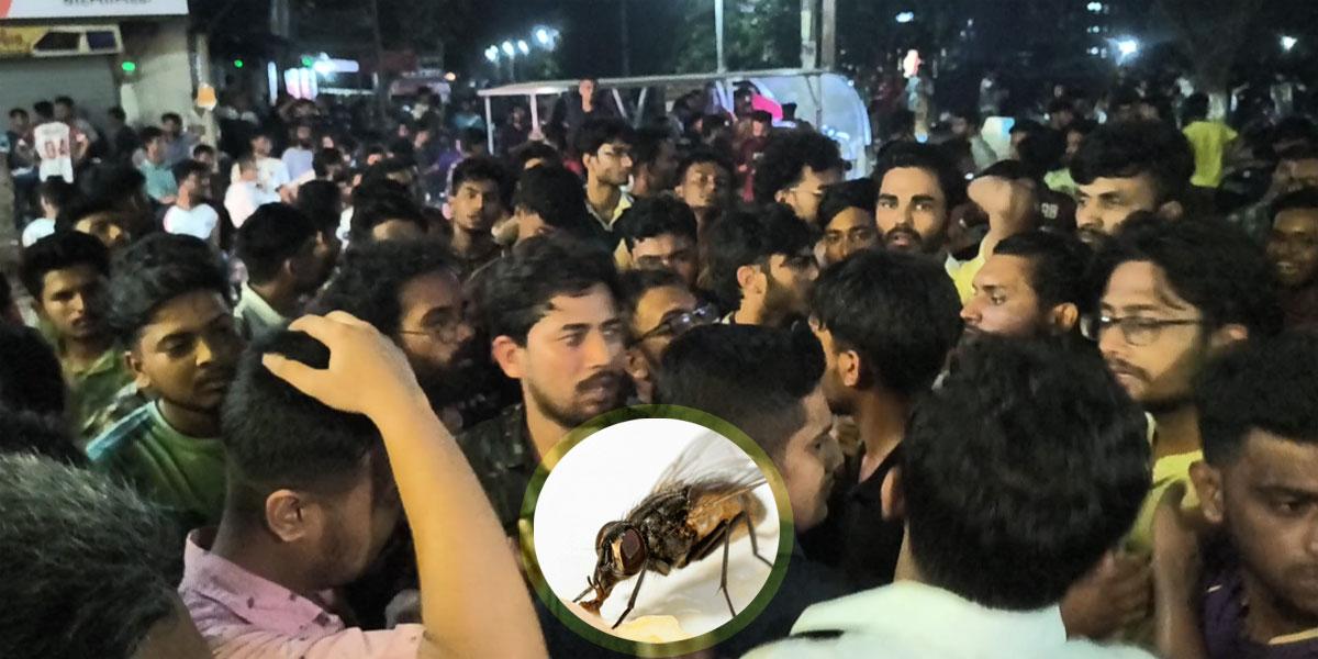 জাবিতে হালিমে মাছি নিয়ে উত্তেজনা, দোকান বন্ধ করে প্রতিবাদ