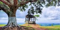মেঘের ওপর পাহাড়ের হাতছানি