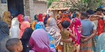 দামুড়হুদায় মৌমাছির কামড়ে ভ্যানচালকের মৃত্যু