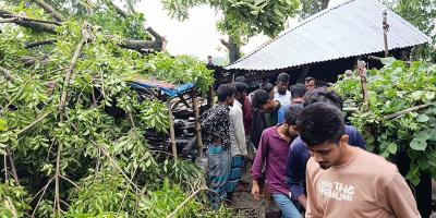 জামালপুরে ঝড়ে গাছচাপায় প্রাণ গেল মা ও ২ মেয়ের