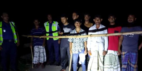 সিরাজগঞ্জে গরু চুরির হিড়িক, পাহারায় খামারিরা
