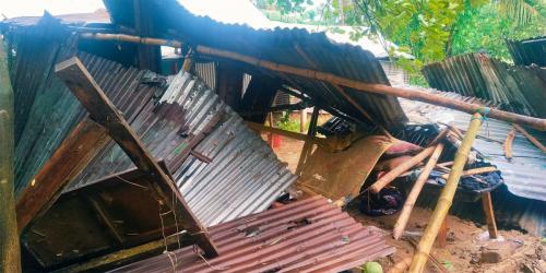নালিতাবাড়ীতে কালবৈশাখী ঝড়ে গাছচাপায় বৃদ্ধার মৃত্যু