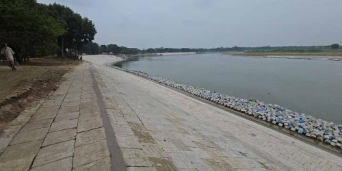 নতুন স্বপ্নে ফরিদপুরের নদীপাড়ের মানুষ