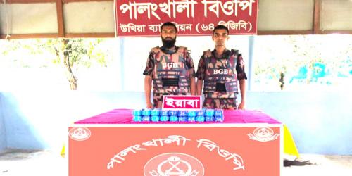 উখিয়ায় বিজিবির অভিযানে ৮০ হাজার পিস ইয়াবা জব্দ