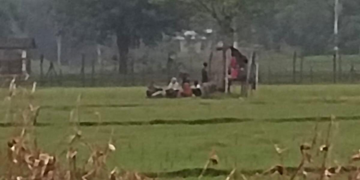 লালমনিরহাটের ৩ সীমান্ত দিয়ে ৩৩ জনকে পুশইনের চেষ্টা
