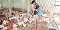 বাতাসে যেন আগুনের হলকা, কষ্টে প্রাণিকুল