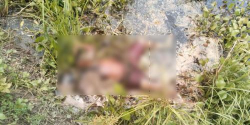 ভুবনেশ্বর নদ থেকে অজ্ঞাত ব্যক্তির অর্ধগলিত মরদেহ উদ্ধার