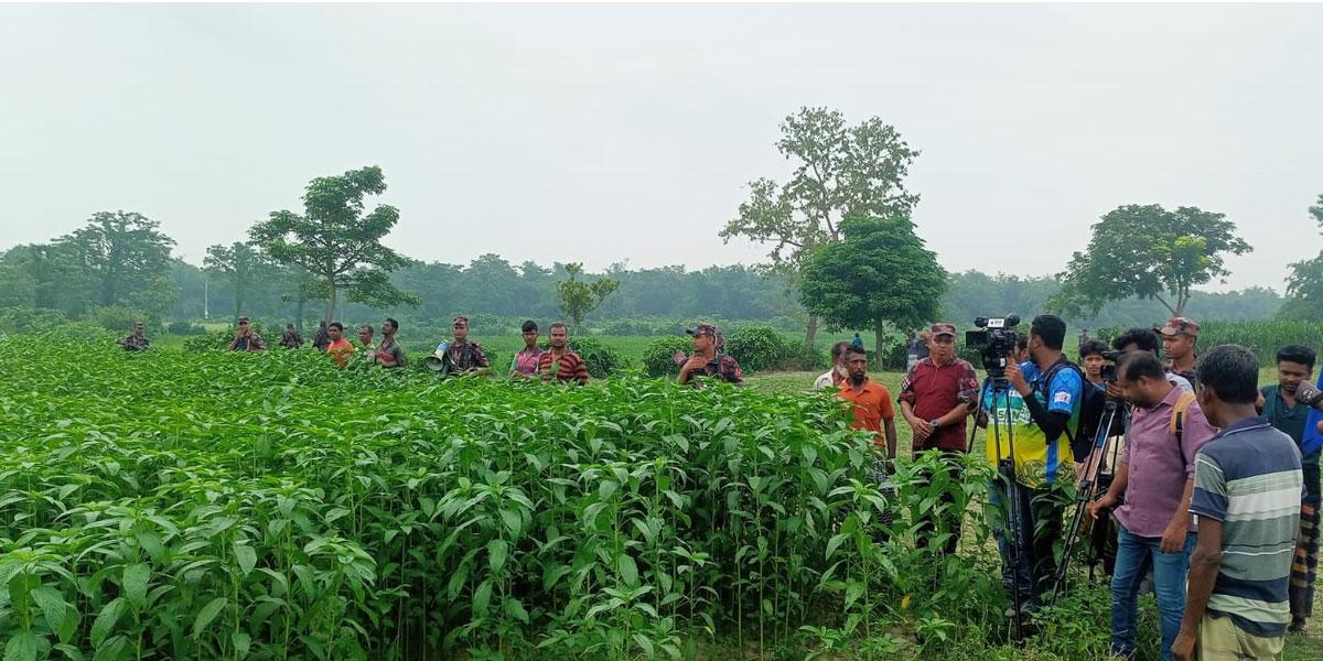 গাংনী সীমান্ত দিয়ে ৬ জনকে পুশইনের চেষ্টা