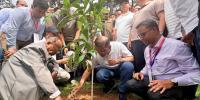 চকরিয়া থেকে দেশব্যাপী ২৫ কোটি বৃক্ষরোপণ কর্মসূচির যাত্রা শুরু