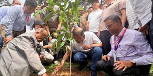 চকরিয়া থেকে দেশব্যাপী ২৫ কোটি বৃক্ষরোপণ কর্মসূচির যাত্রা শুরু
